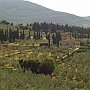 VISTA DI MONTE MORELLO